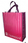YL-B006 non woven bag for shopping