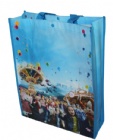 YL-B002 non woven bag for shopping
