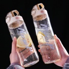 YL-T1217 Handle sport bottle / plastic bottle